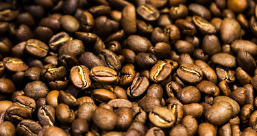 Where to shop buy coffee beans